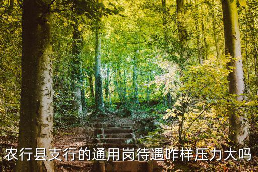 武漢通用e崗待遇怎么樣,農(nóng)行縣支行的通用崗待遇咋樣