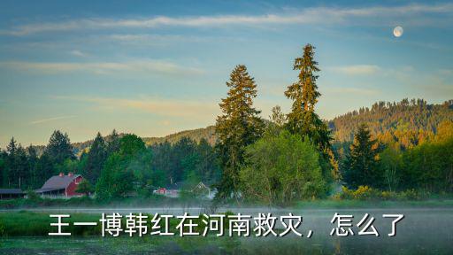 王一博韓紅在河南救災，怎么了