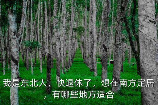我是東北人，快退休了，想在南方定居，有哪些地方適合