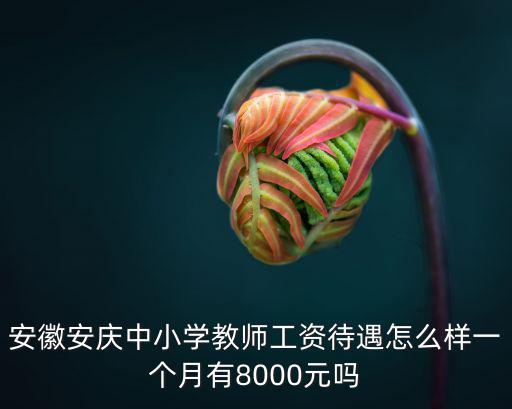 安徽安慶中小學教師工資待遇怎么樣一個月有8000元嗎