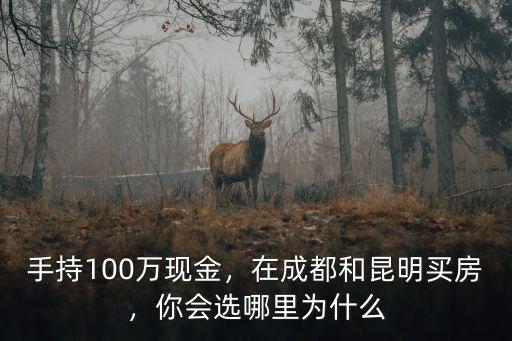 手持100萬現金，在成都和昆明買房，你會選哪里為什么