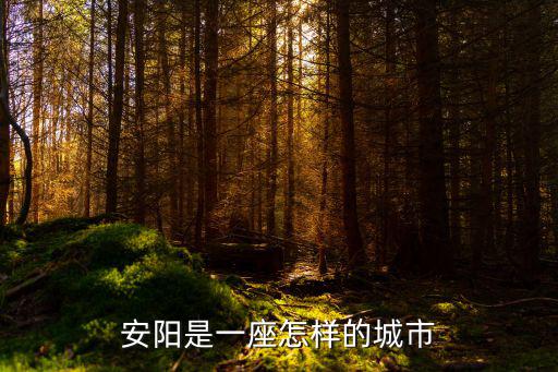 安陽是一座怎樣的城市