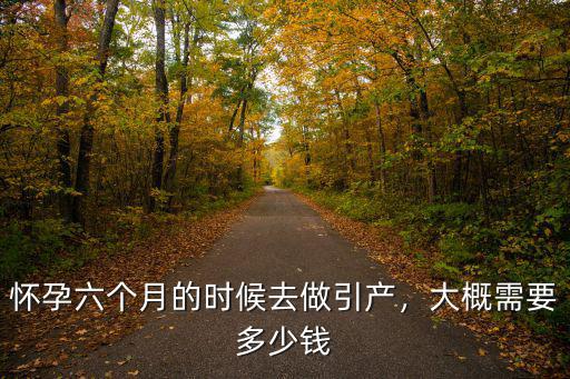 在淮南引產需要多少錢,大概需要多少錢