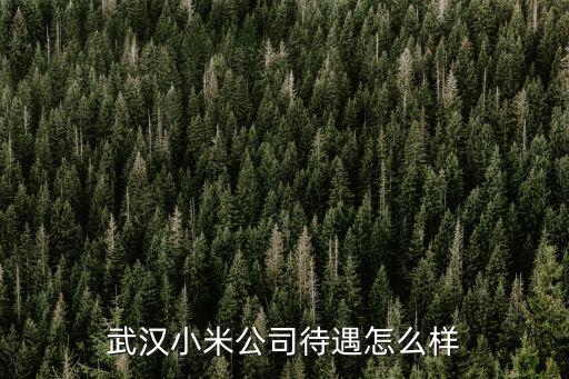 武漢市文化館待遇怎么樣,武漢市國稅局待遇怎么樣