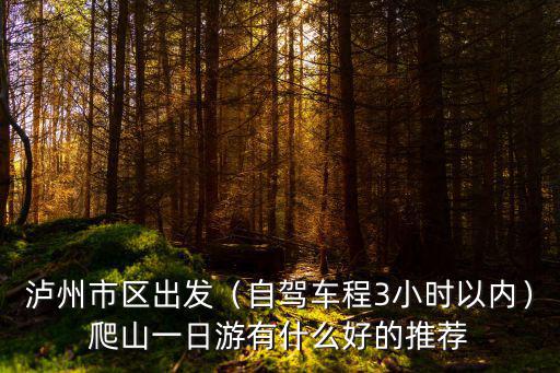 瀘州市區哪里有電玩城,問下瀘州晚上哪里好耍啊