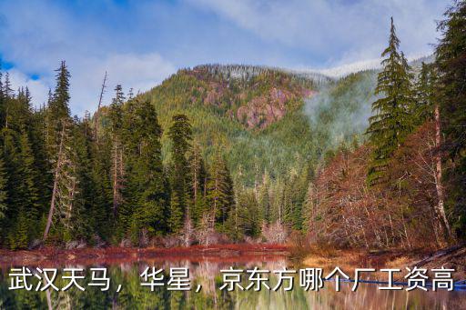 武漢京東方本科待遇怎么樣,武漢京東方的待遇怎么樣