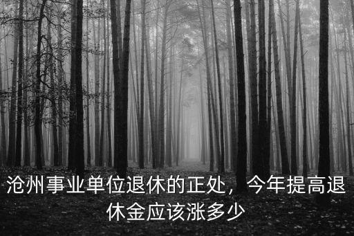 滄州事業單位退休的正處，今年提高退休金應該漲多少