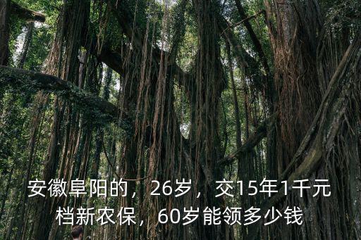 安徽阜陽的，26歲，交15年1千元檔新農保，60歲能領多少錢