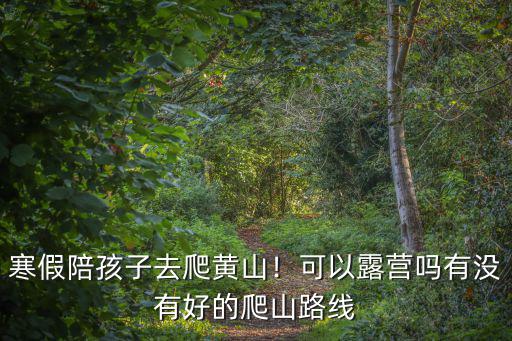 帶小孩去黃山要多少錢,一家六口去黃山要多少錢
