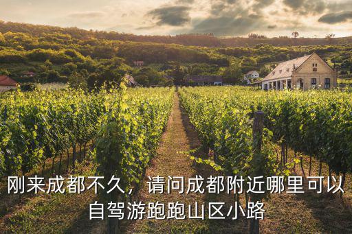 成都哪里飆車好,剛來成都不久