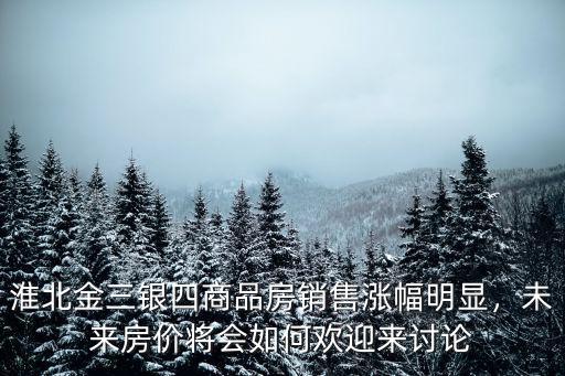 淮北金三銀四商品房銷售漲幅明顯，未來房價將會如何歡迎來討論
