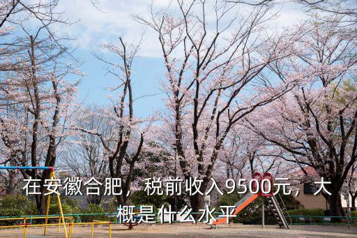 在安徽合肥，稅前收入9500元，大概是什么水平