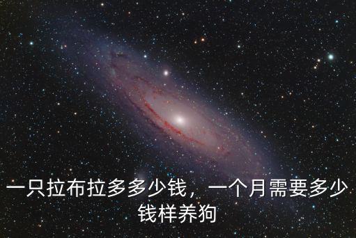 一只拉布拉多多少錢，一個月需要多少錢樣養狗