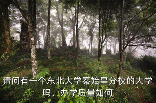 東北大學(xué)秦皇島分校中外合作辦學(xué)多少錢,東北大學(xué)秦皇島分校