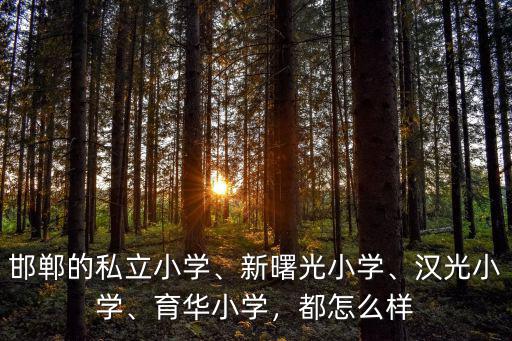 邯鄲市私立小學收費多少,邯鄲的私立小學