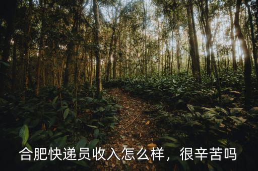 合肥閃送快遞員一天多少錢,合肥快遞員收入怎么樣