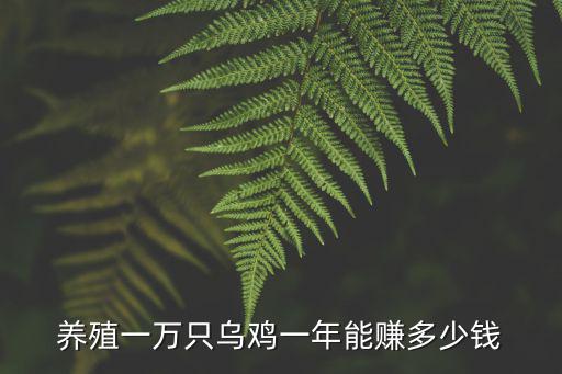 河北養烏雞需要多少錢,散養烏骨雞多少錢一斤