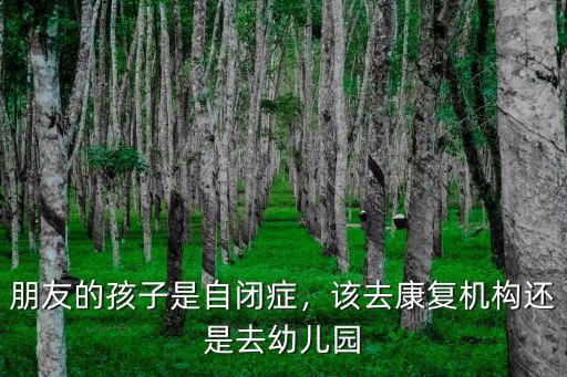 朋友的孩子是自閉癥，該去康復機構還是去幼兒園