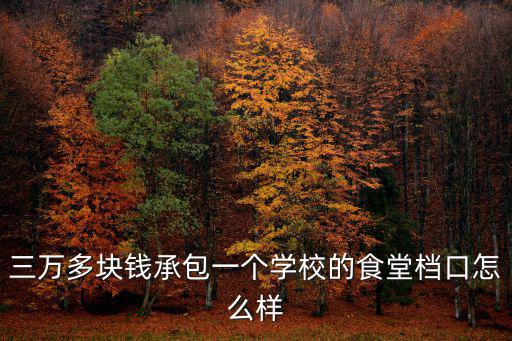 阜陽大學食堂承包多少錢,多少錢的承包費能干
