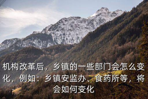 湖北鄉鎮安監站人員怎么定,鄉鎮安監站會怎么改
