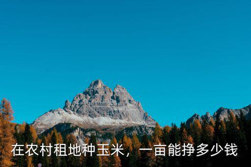 滄州包地多少錢一畝,一畝能掙多少錢
