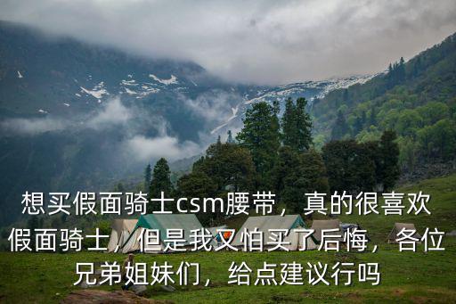 想買假面騎士csm腰帶，真的很喜歡假面騎士，但是我又怕買了后悔，各位兄弟姐妹們，給點(diǎn)建議行嗎