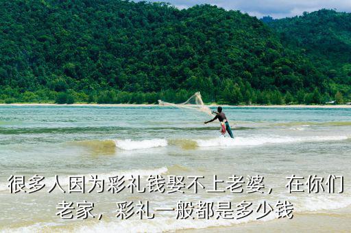 秦皇島盧龍彩禮一般多少錢,彩禮一般都是多少錢