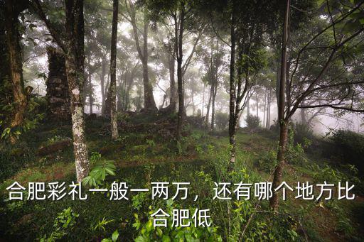 合肥巢湖彩禮一般多少,合肥彩禮一般一兩萬