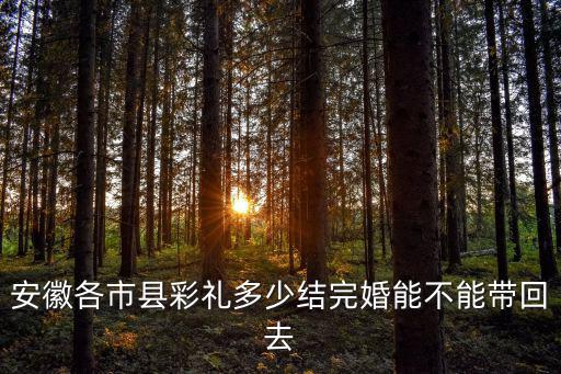 安徽彩禮多少帶回來嗎,安徽各市縣彩禮多少