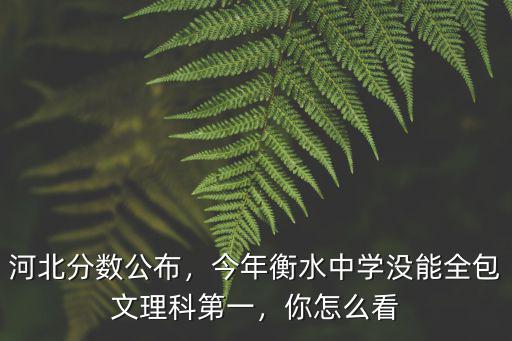 河北衡水中學需要多少分,河北衡水中學有多厲害