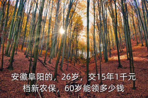 安徽阜陽的，26歲，交15年1千元檔新農保，60歲能領多少錢