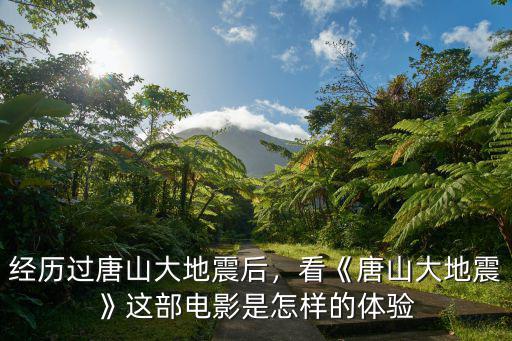 唐山地震電影有多少人看,對于《唐山大地震》這部電影