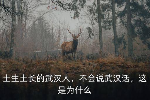 土生土長的武漢人，不會說武漢話，這是為什么