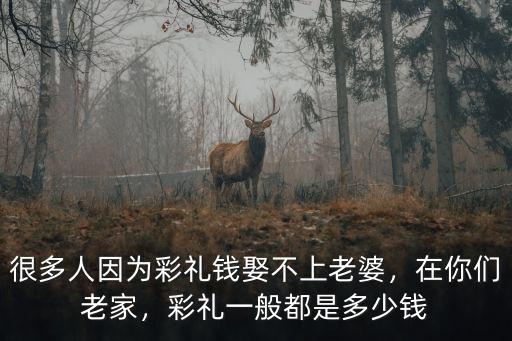 池州結(jié)婚彩禮要多少錢(qián),現(xiàn)在結(jié)婚彩禮錢(qián)應(yīng)該多少合適