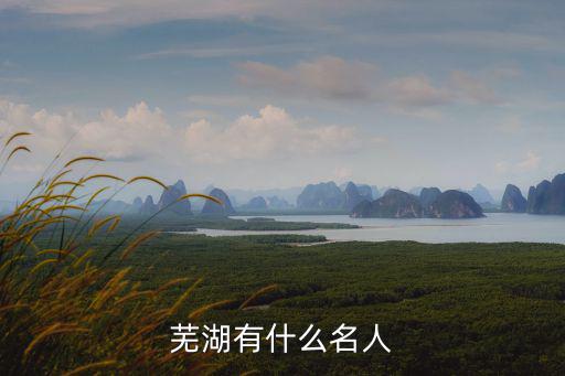 蕪湖有什么名人