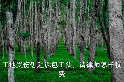 洛陽包工頭律師怎么收費,請律師怎樣收費