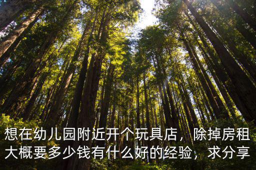 石家莊玩具店一般多少錢,開一家玩具店怎么樣