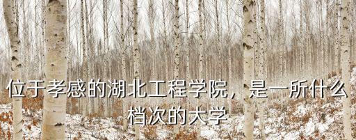 位于孝感的湖北工程學院，是一所什么檔次的大學