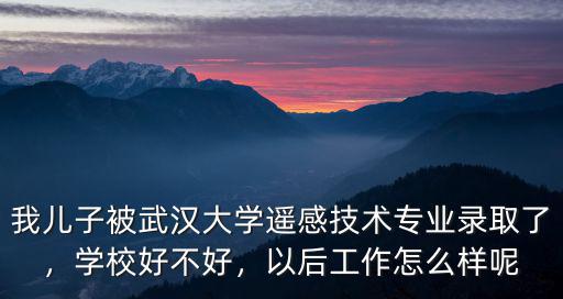 我兒子被武漢大學遙感技術專業錄取了，學校好不好，以后工作怎么樣呢