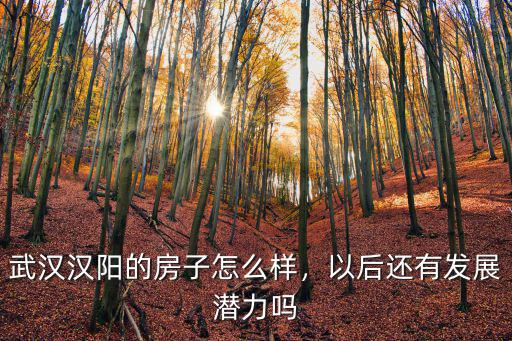 武漢億得房怎么樣,武漢漢陽的房子怎么樣