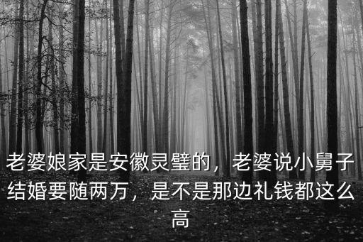 老婆娘家是安徽靈璧的，老婆說小舅子結婚要隨兩萬，是不是那邊禮錢都這么高