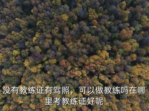 成都駕校教練證在哪里,做駕校教練怎么樣