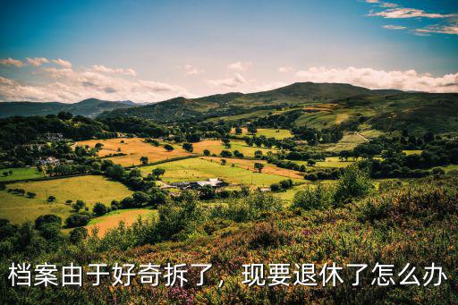 檔案開封了加封多少錢,開封了個檔案