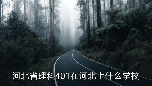 理科401分在河北排名是多少,河北理科461分