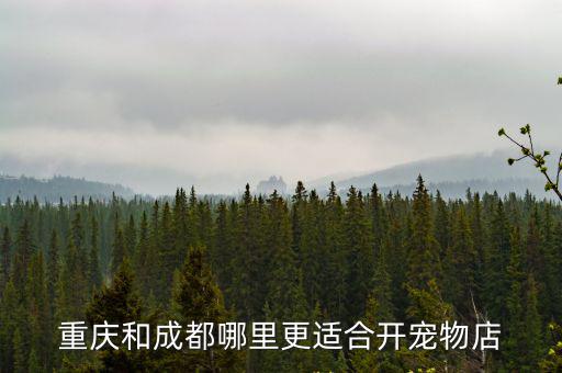 成都哪里適合開寵物店,在成都開寵物店賺錢嗎