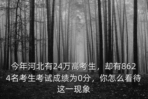 高考河北省有多少名考生,今年河北高考最高分多少