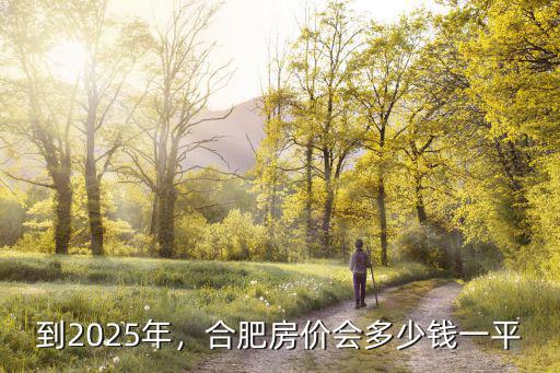 合肥濱湖翡翠原石多少錢一塊,合肥濱湖房價很高