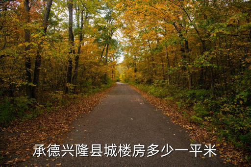 承德興隆縣城樓房多少一平米