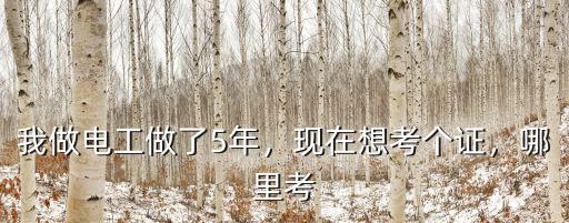 巴中哪里考取電工,電工證怎么考去哪里考