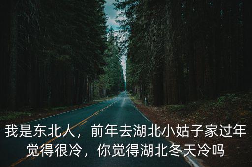 東北人冬天上湖北怎么過冬,在東北該如何過冬